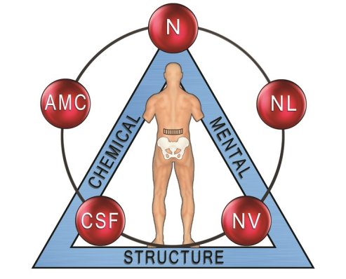 Μηχανικός, Βιοχημικός Ψυχοσωματικός χρόνιος πόνος